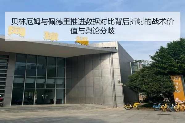 贝林厄姆与佩德里推进数据对比背后折射的战术价值与舆论分歧